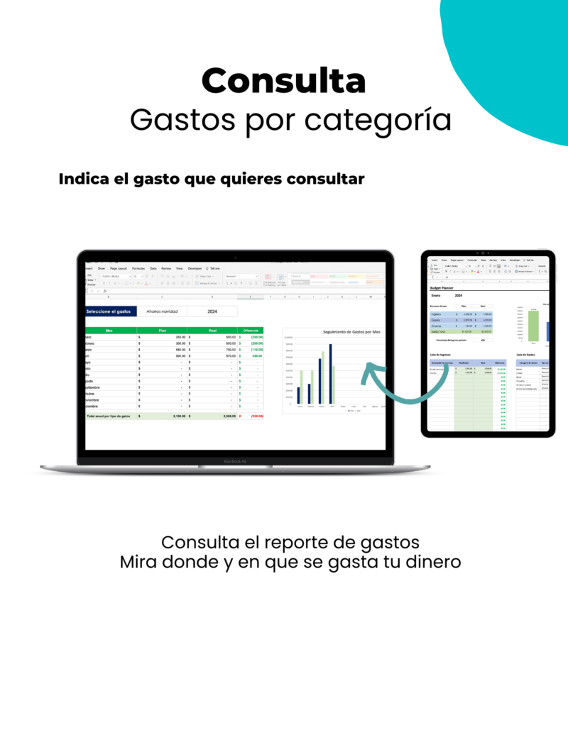 Budget Planner 4.0 - Imagen 6